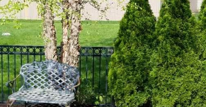  Move Better, Live Better: How Chiropractic Care Supports an Active Lifestyle in Hamilton County Indiana image